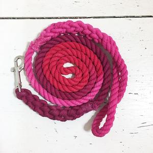 Red and Pink Dog <b>Leash</b> - Product Image 1