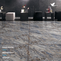 Carreaux de sol en porcelaine polie SKYTOUCH, gris, résistants à l'usure, de fabrication indienne, 60x60, modernes, urbains, en marbre, pour la décoration intérieure.