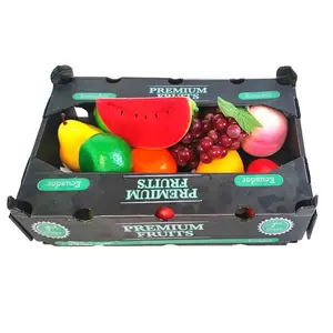 Scatola di plastica scatola di plastica per frutta