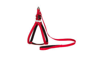 สายจูงและสายรัดพลาสติกอ่อนสินค้า1 - Product Image 4