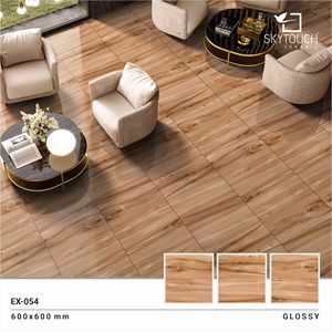 กระเบื้องเคลือบเงาเซรามิกอินเดียสำหรับห้องนั่งเล่นขนาด600x600มม. - Product Image 5