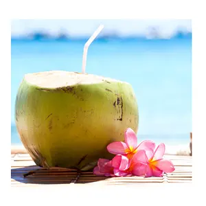 Hoge Kwaliteit Verse Jonge Kokosnoot/Coconut Water-Groothandel Voor Semi Schil Kokosnoot/Diamond Vorm Kokosnoot Export Naar eu Vs