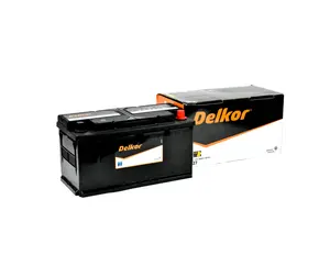 World Class Delkor Batteries From Clarios Delkor Corporation, Korea