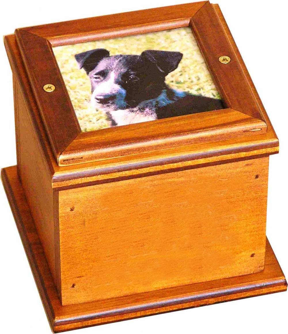 ตามที่แสดง