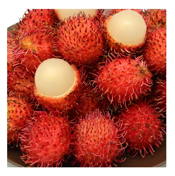 En İyi kalite taze Rambutan Rambutan ihracat 100% taze tropikal meyve en iyi fiyat yüksek kalite made in Vietnam