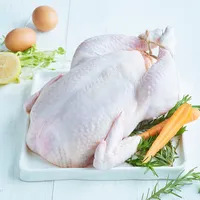 Frozen Whole Chicken for Sale, Halal Certified