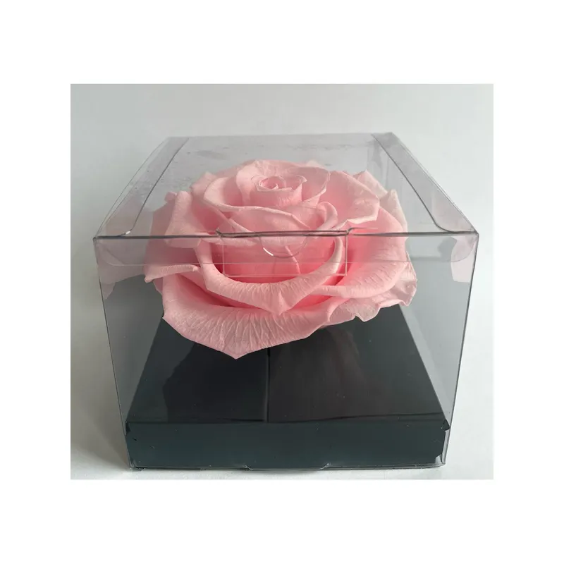 최고 품질의 에콰도르 보존 및 영원한 핑크 로즈 100% 프리미엄 아름다운 꽃 도매 프리미엄