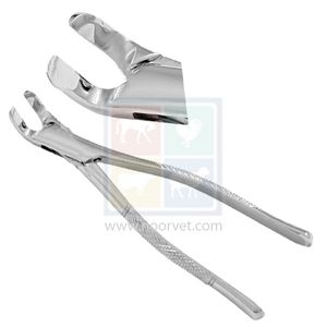 Détartreur dentaire de cheval forgé 7 pouces, en acier inoxydable, à brancher au japon - Product Image 1