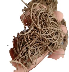 Raízes valerianas secas naturais puras para erva - Product Image 1