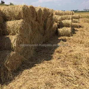 小麦秸秆干草-小麦干草-稻草从越南