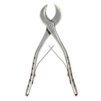 Ensemble d'instruments dentaires de 2 pièces, ciseaux à plâtre dentaire petits/grands en acier inoxydable, ciseaux à gypse pour laboratoire dentaire, forceps CE ISO