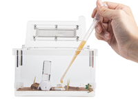 Empire Ants AG7 - Fourmilière pour fourmis du désert - Gravier en plastique - Plante artificielle - Design classique - Écologique - Toutes saisons