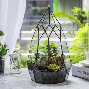 Terrarium — Pot géométrique en verre NCYP, hauteur goutte d'eau, plantes succulentes, Dessert Miniature, paysage, bonsaï, orchidée, Con - Product Image 1