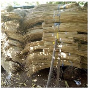 Bâton de balai de noix de coco, vente en gros, en feuille de noix de coco, pour le nettoyage de la maison () - Product Image 1