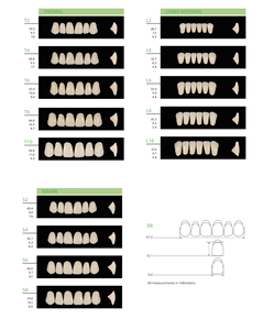 <span class=keywords><strong>KAILI</strong></span> enorme di alta qualità con 2 strati 16 tonalità di A-D denti falsi per la bocca piena - Product Image 2