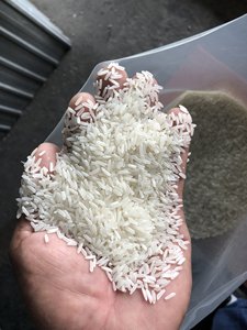VILACONIC Riz jaune à grain long moins cher Texture dure séchée 0084 905010988-pour la cuisson du riz Arborio 5% cassé - Product Image 3