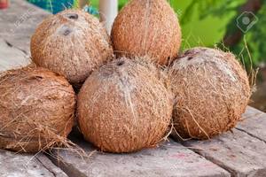 COCO SECO AL MEJOR PRECIO PARA IMPORTADORES COCO SECO NATURAL DE VIETNAM PRECIO COMPETITIVO - Product Image 3