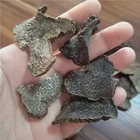 Black Wild Truffles, Available in Bulk at Low Price