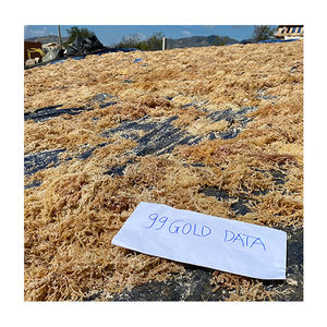 สาหร่ายอีวิเชียมา สปิโนซัม / ไอริชซีมอส - Product Image 1