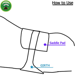 Sangles de cheval en néoprène d'équipement de cheval de haute qualité - Product Image 6