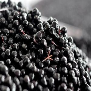 Arona biologique (Chokeberry) Fruits surgelés IQF - Product Image 1