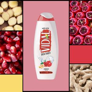 BATH FOAM VIDAL 500 ML <b>FRESH</b> ENERGY POMEGRANATE & <b>GINGER</b> - Product Image 4