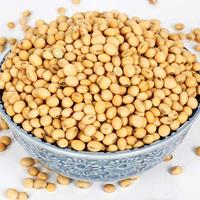 Kacang Kedelai NON-GMO/Kedelai Organik Bersertifikat