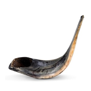 Sheep Horn Natural Ram Shofar Horn Best Premium Quality Wholesale Polished Shofar Genuine Natural Ram Horn Shofar for Sale - Product Image 4