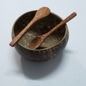 Eco2go Vietnam Bol en noix de coco naturel poli à la main, respectueux de l'environnement |   Bol de camping biodégradable sans BPA |   Prix de gros - Product Image 1