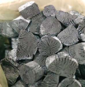 Carbón Vegetal Natural de Alta Calidad de Lichi Blanco, Roble y Madera Dura, Carbón para Narguile sin Humo, Tiempo de Combustión de 5 a 6 Horas, Venta Mundial - Product Image 1