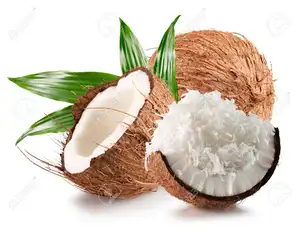 Cocco essiccato biologico dal VIETNAM//WhatsApp: Ms.Pinky (84) 35 9268 345