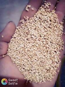 ข้อเสนอสุดพิเศษสำหรับงาดำแห้ง ใช้งานได้หลากหลายและสะดวกสบาย มาตรฐานอาหาร ได้รับการรับรอง ISO9001 ผลิตในอียิปต์ ขนาด 25 กก. - Product Image 3