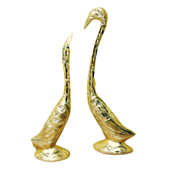 แสดงภาพ