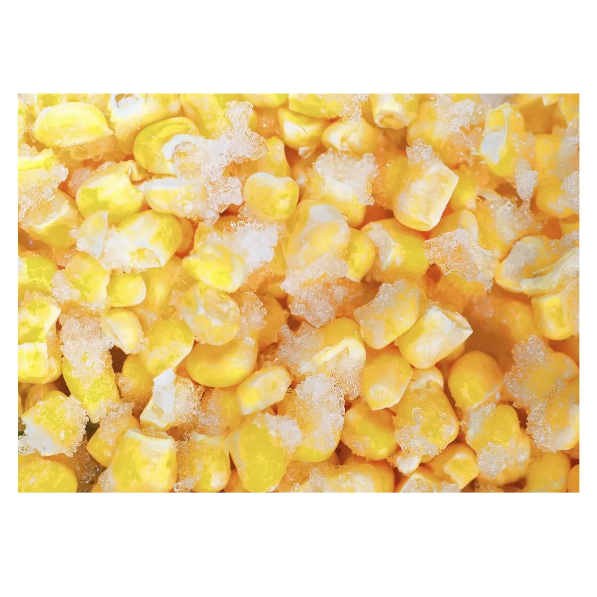 FROZEN SWEET CORN, SEPARATED CORN IN PACKAGE, FROZEN CEREAL FOR COOKING / MS BERYL:+84392949350