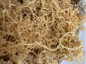 Ana S IRIH SEEAM//N/Ana - Product Image 2