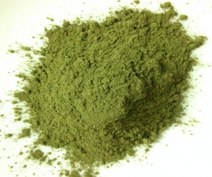 EL POLVO DE HOJA DE PANDAN MÁS ESPECIAL - ALTA CALIDAD - MEJOR PRECIO - SRA. ESTHER - Product Image 1