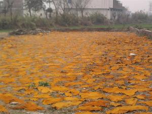 ที่กำหนดเองทำ100% วัวแยกหนังจบการศึกษา10.5นิ้วเต็มปาล์ม707ถุงมือทำงานที่มีโลโก้การพิมพ์ของตัวเองฯลฯ... - Product Image 4