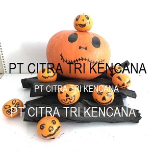 NEW YEAR 2020 CELEBRATION SALE HALABAN CHARCOAL BBQ GRILL 5-10 CM LONG, INDONESIA CHARCOAL Dunedin NEW ZEALAND - Product Image 1