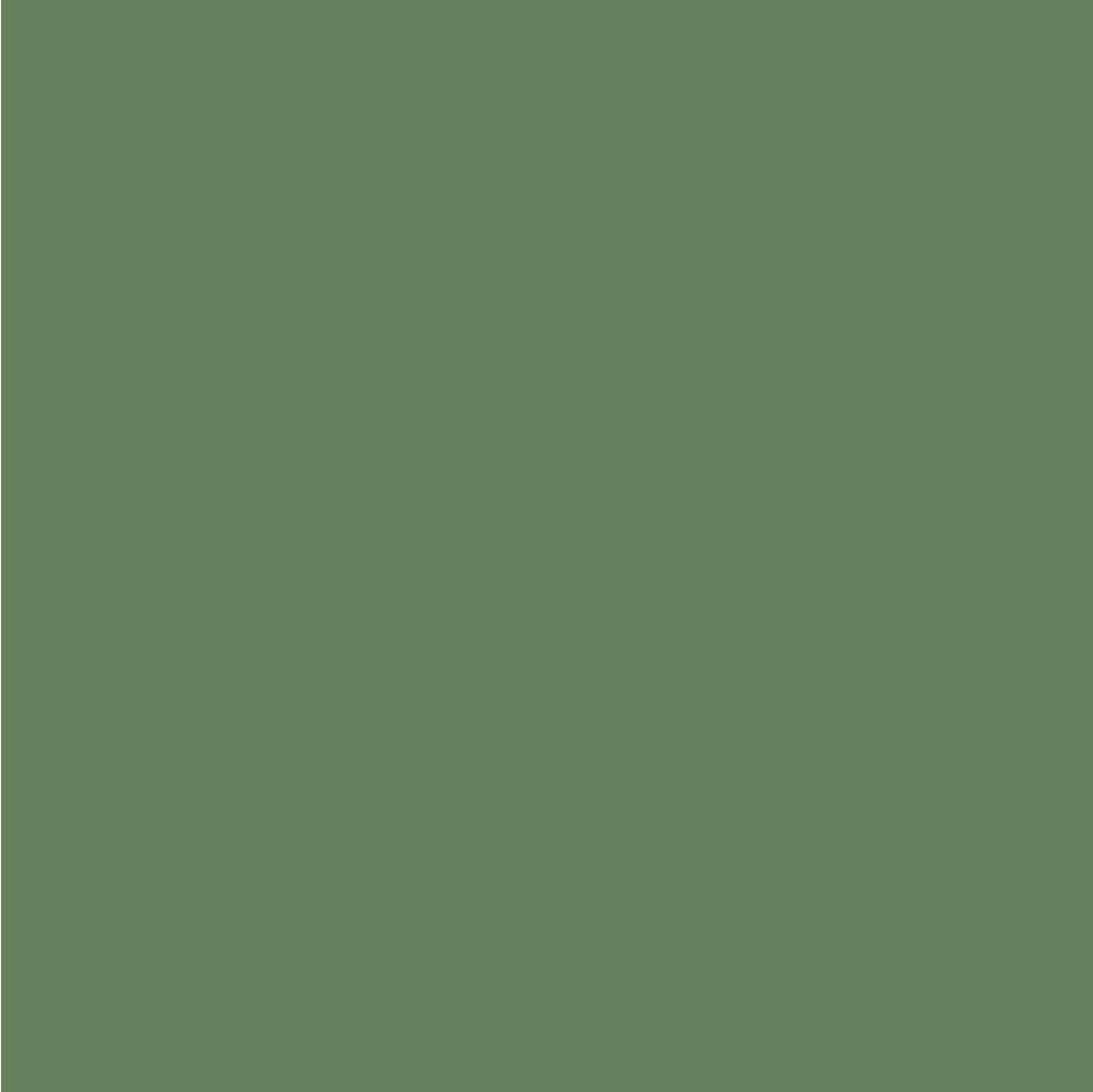 RAL 6011
