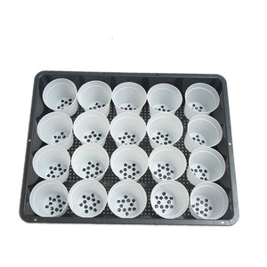 Pentole Vassoio di Vivai Germinazione Dei Semi di Piante grasse Succulente Planter Vaso di Fiori con Coperchi Scatola Crescere Idroponica Piantina Vassoio - Product Image 6