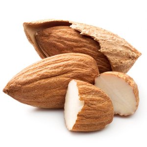 nuts & kernels, agriculture suppliers and manufacturers