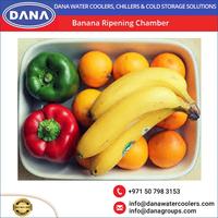 Nouvelle chambre de maturation Dana Banana, garantie 1 an, certifiée ISO/CC/IIC, 380V triphasé AC, hôtels, restaurants, commerce de détail, fabrication