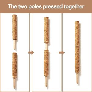 Varillas de Soporte para Plantas de Fibra de Coco al por Mayor, Tótems de Musgo, Varillas para Trepar - Product Image 4