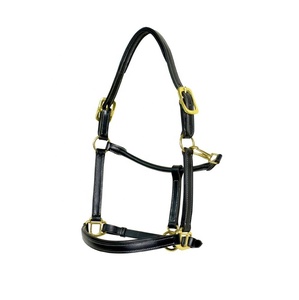 Haltères pour chevaux en cuir noir/marron de haute qualité, avec finitions en laiton cousues à la main, durables, confortables, pour l'entraînement, style indien - Product Image 5