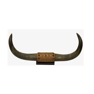 Corne décorative Antique en forme de cercueil, taille personnalisée, décoration pour la maison et la vaisselle, pour le mur, offre spéciale - Product Image 3