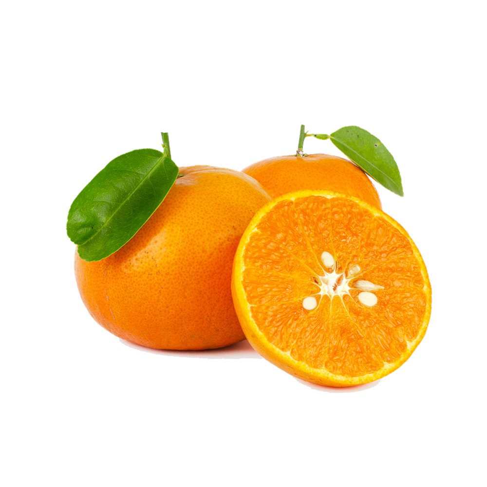 orange fruit egypt trade,buy egypt direct from orange fruit