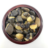 Pierre gemme Septarienne d'Agate Muntaha de haute qualité, faite à la main, de forme libre, pour la guérison spirituelle, pierre roulée durable, objet artisanal porte-bonheur