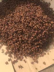Canela de Vietnam y Anís Estrellado Premium, Especias Secas Enteras, Exportación a Granel, Venta al por Mayor, Suministro Directo de Fábrica - Product Image 4