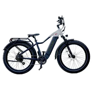 48v 750w gorda pneu ebike ciclo imren preço barato, assistir bicicleta elétrica para venda mountain bike masculino e para adulto