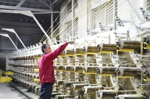 100% <span class=keywords><strong>PP</strong></span> Chất Liệu Nhựa Dệt Cắt Mảnh Vải Cho Túi FIBC - Product Image 5